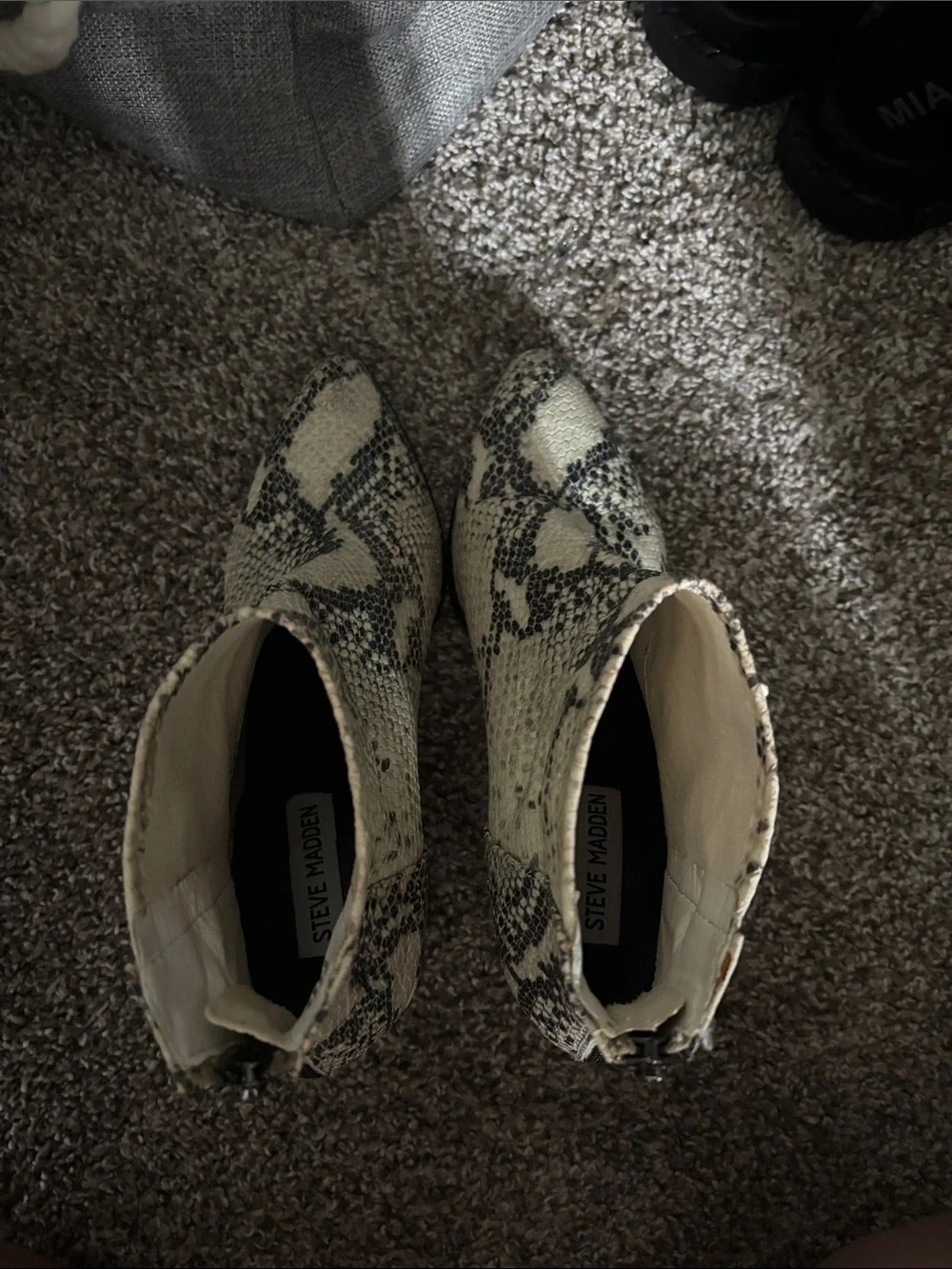 Steve Madden Cream and Black Snake-Print Block Heel Booties